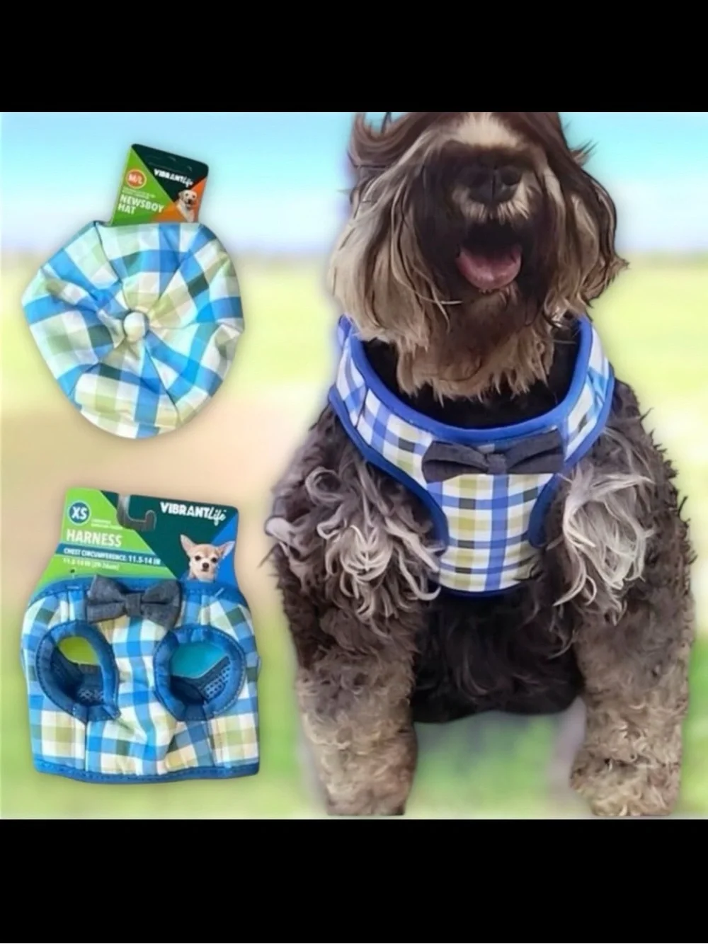 Vibrant Life Dog Plaid Bow Tie Harness & Newsboy Hat